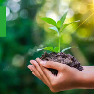 2025年分　森林保全への寄付のご報告