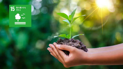 2025年分　森林保全への寄付のご報告